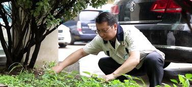 陈氏果业爆料事件视频,揭露行业黑幕背后的真相 第3张 陈氏果业爆料事件视频,揭露行业黑幕背后的真相 第3张